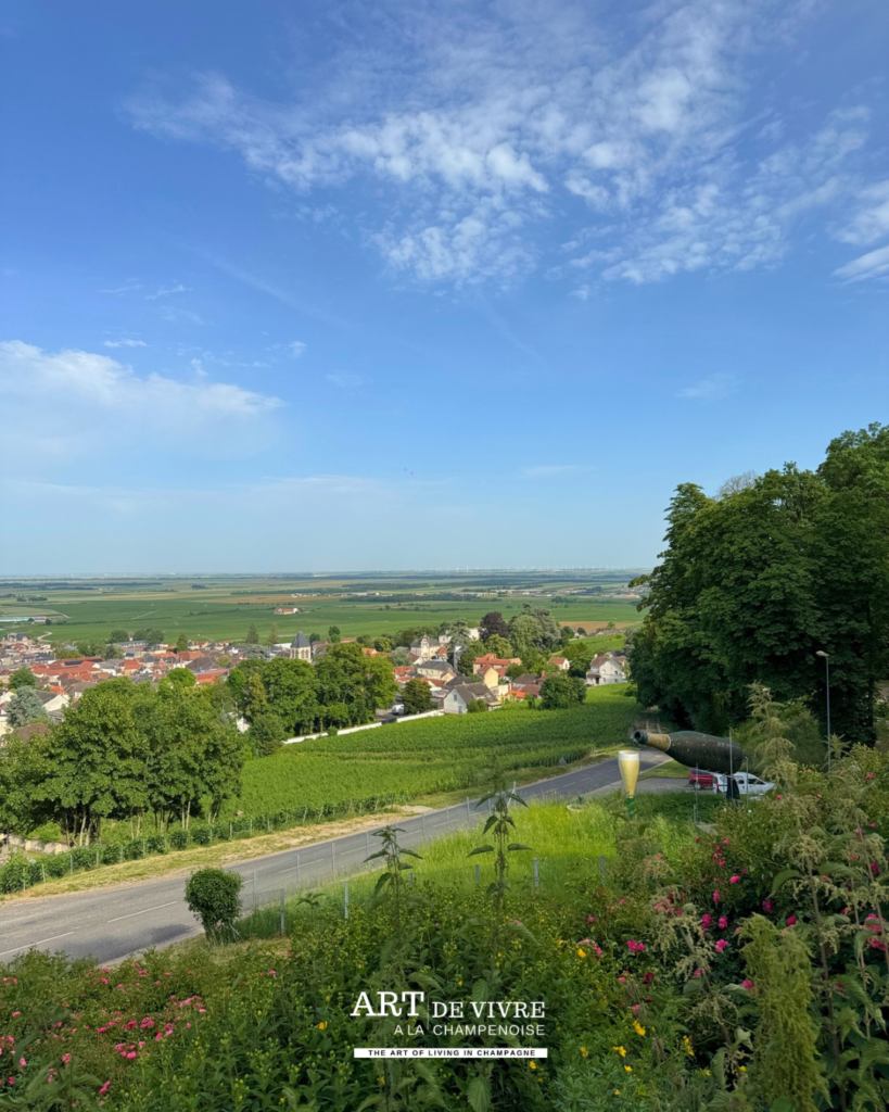 Vue sur Avize, la grosse bouteille et la Côte des Blancs depuis le parc Vix