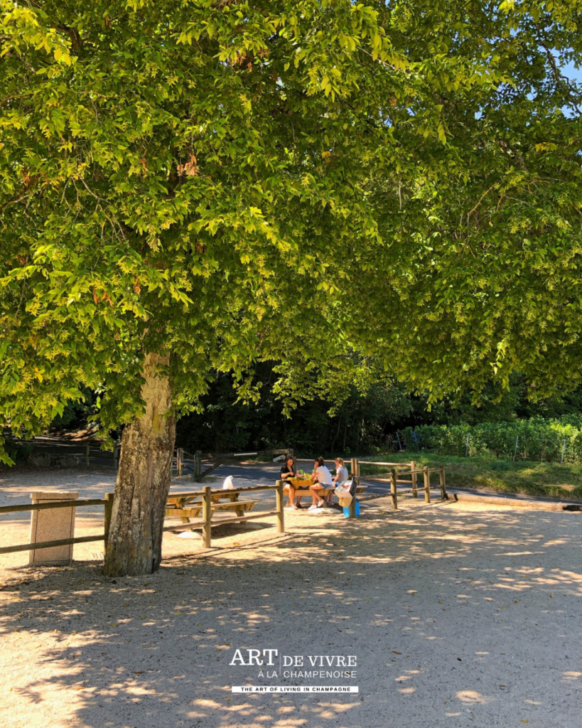 Aire de pique-nique aménagée au parc Vix à Avize