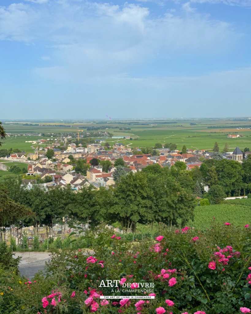 Vue sur les plaines en direction de Châlons depuis Avize