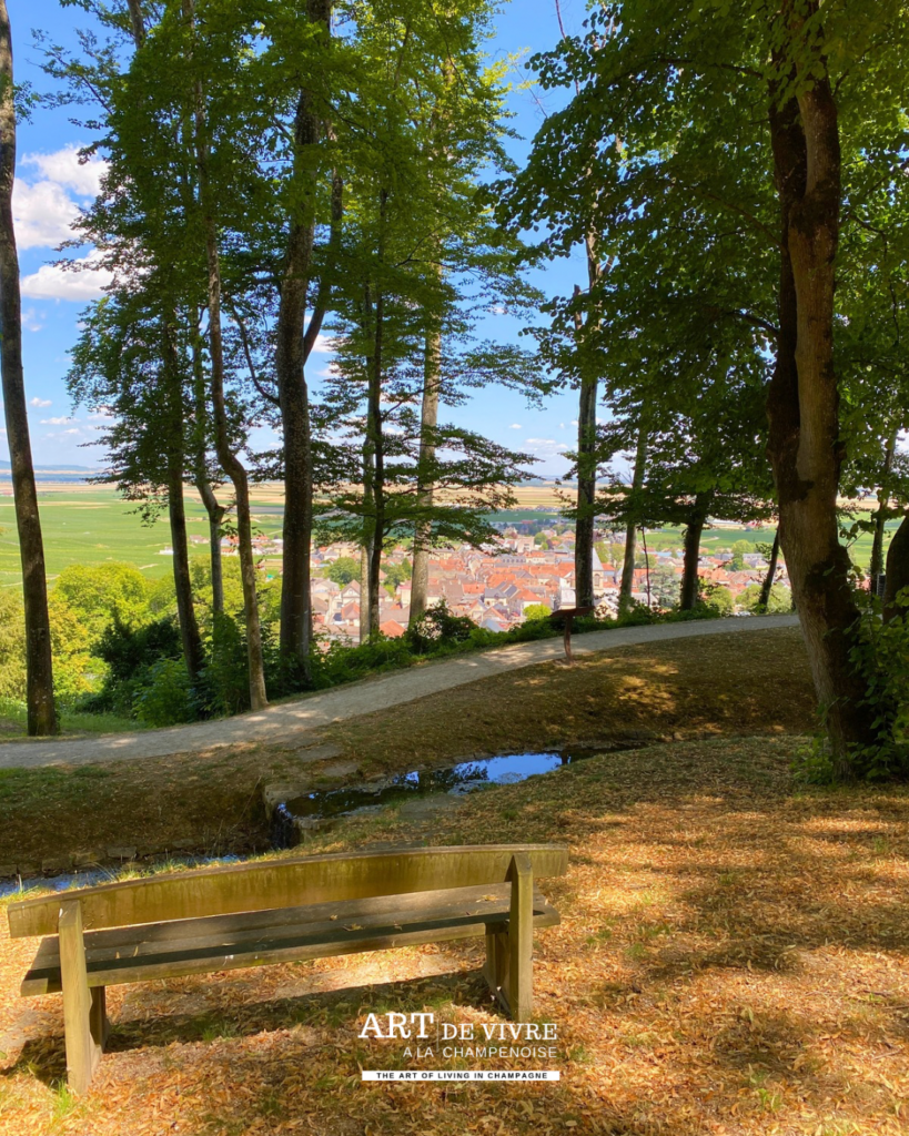 Banc et espace aménagés au parc Vix à Avize
