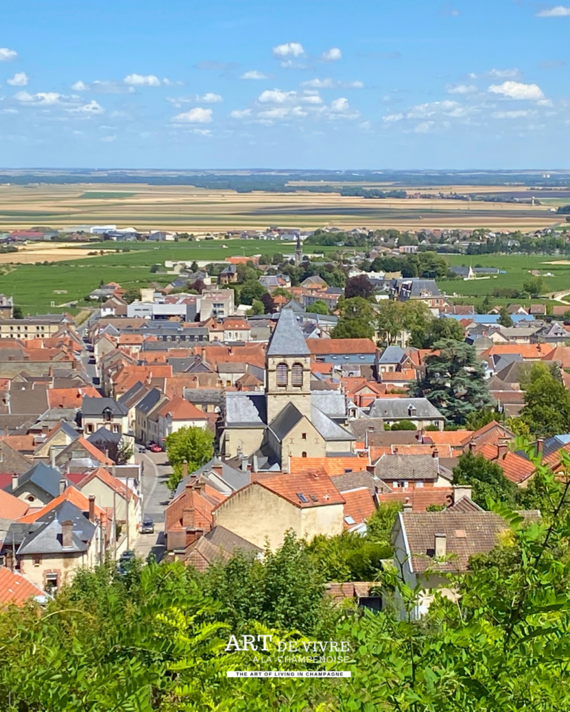 Vue sur Avize et la Côte des Blancs depuis le parc Vix