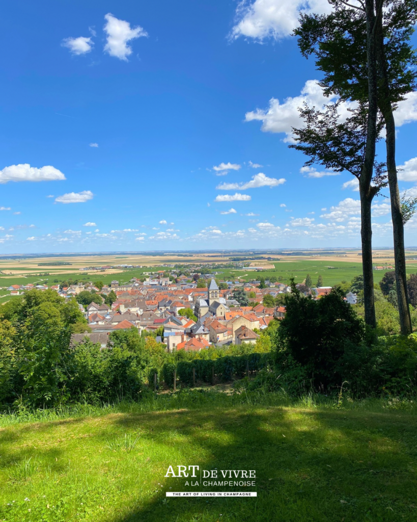 Vue sur Avize et la Côte des Blancs