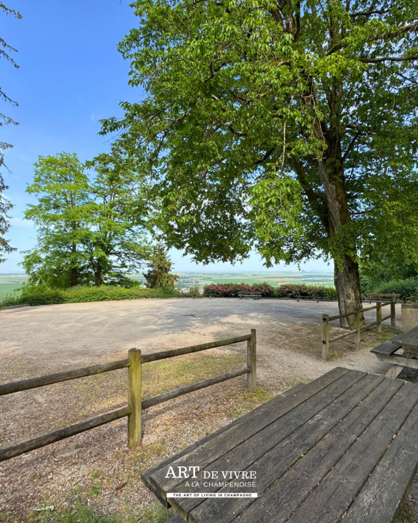 Terrain de pétanque et espaces aménagés au parc Vix à Avize