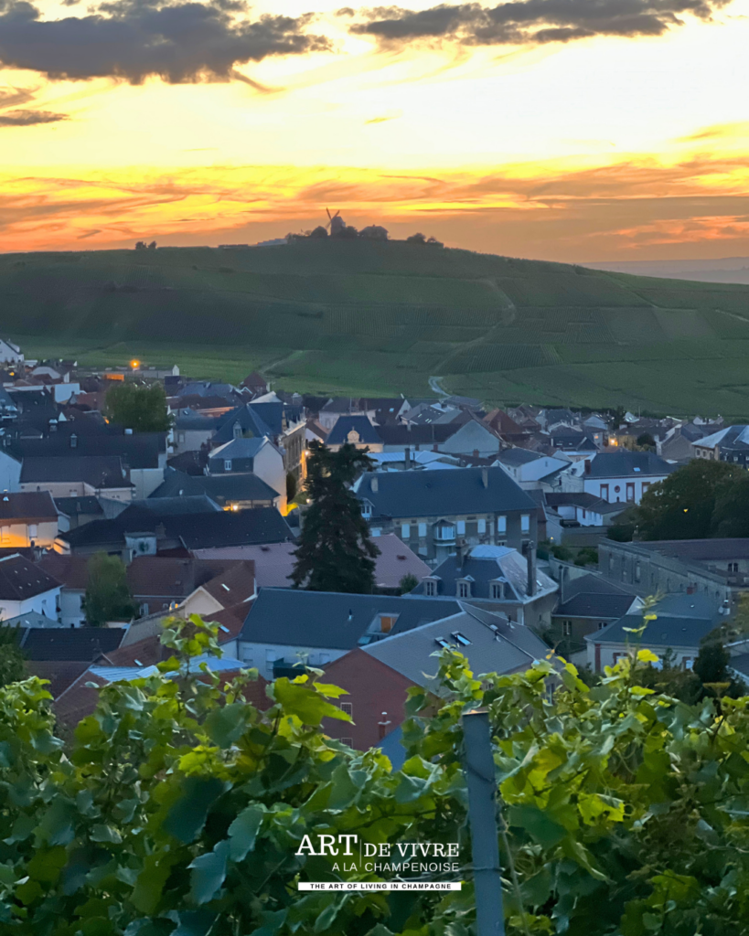 Le village depuis le Phare de Verzenay
