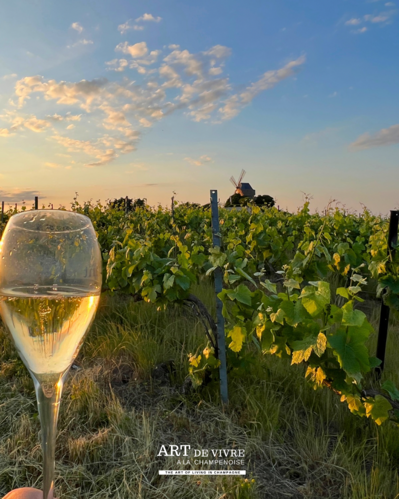 Champagne avec vue sur le moulin de Verzenay, propriété du Champagne GH Mumm