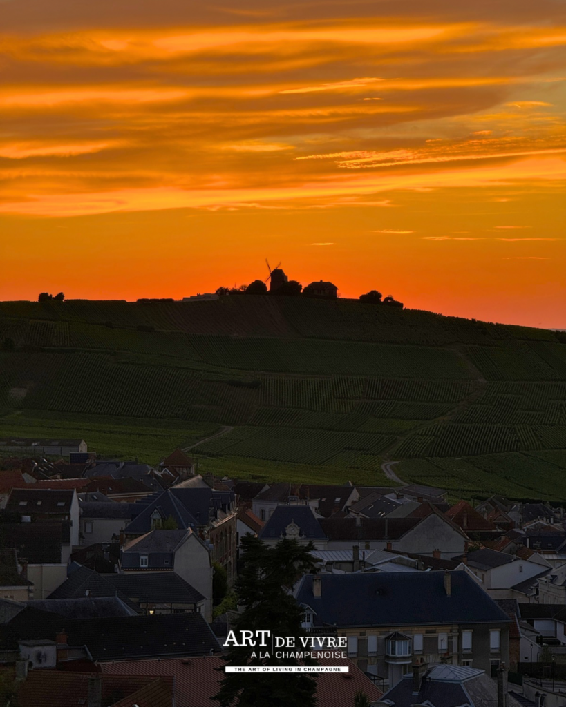 Golden hour sur le village depuis le Phare de Verzenay