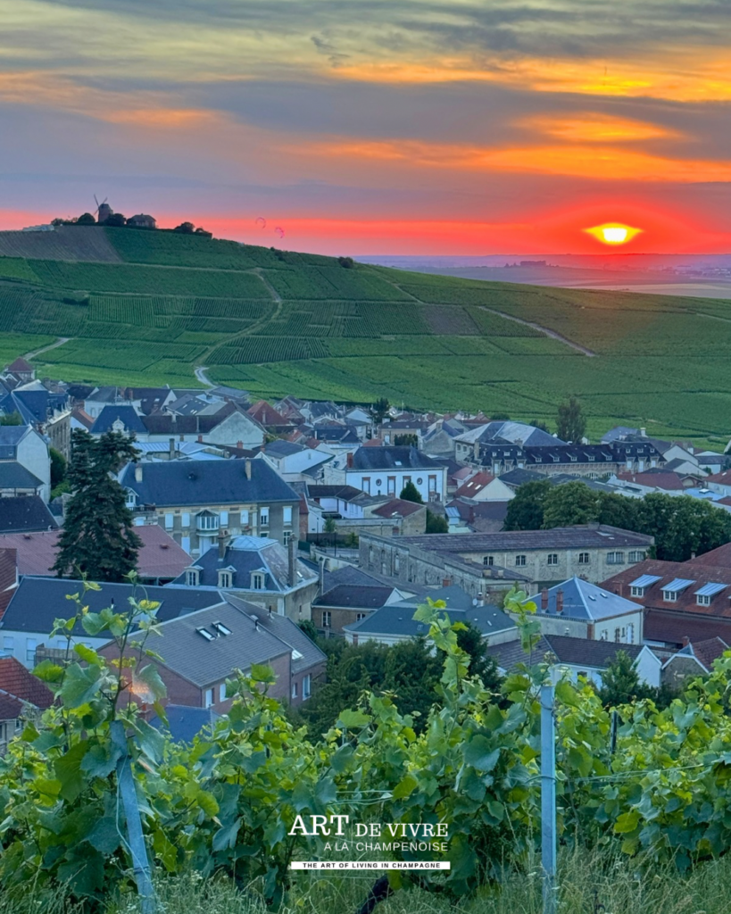 Vue panoramique sur le village depuis le Phare de Verzenay