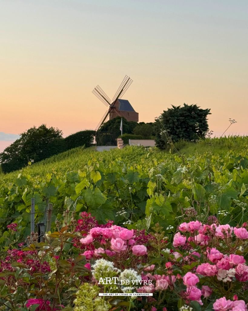 Le moulin de Verzenay, propriété du Champagne GH Mumm