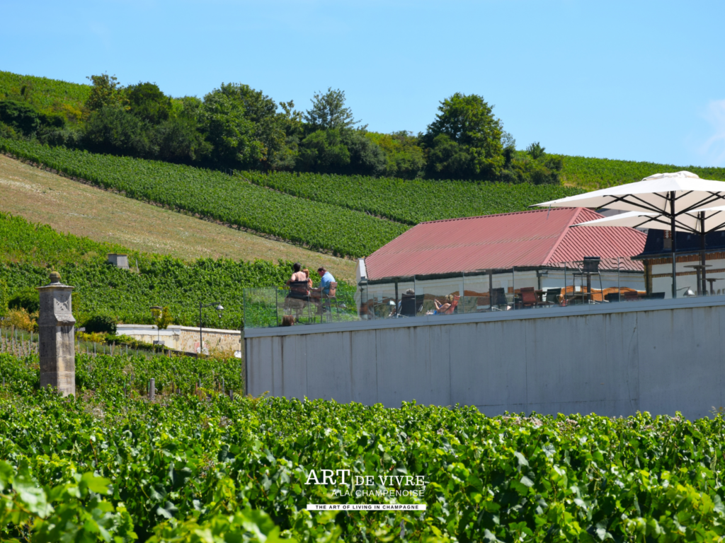 Expérience autour du Champagne à Pressoria à Aÿ-Champagne