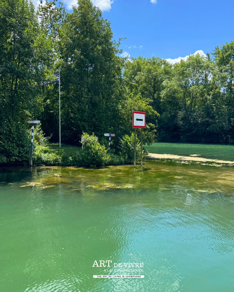 Île de la Tête à l’Âne pendant la croisière Champagne Vallée