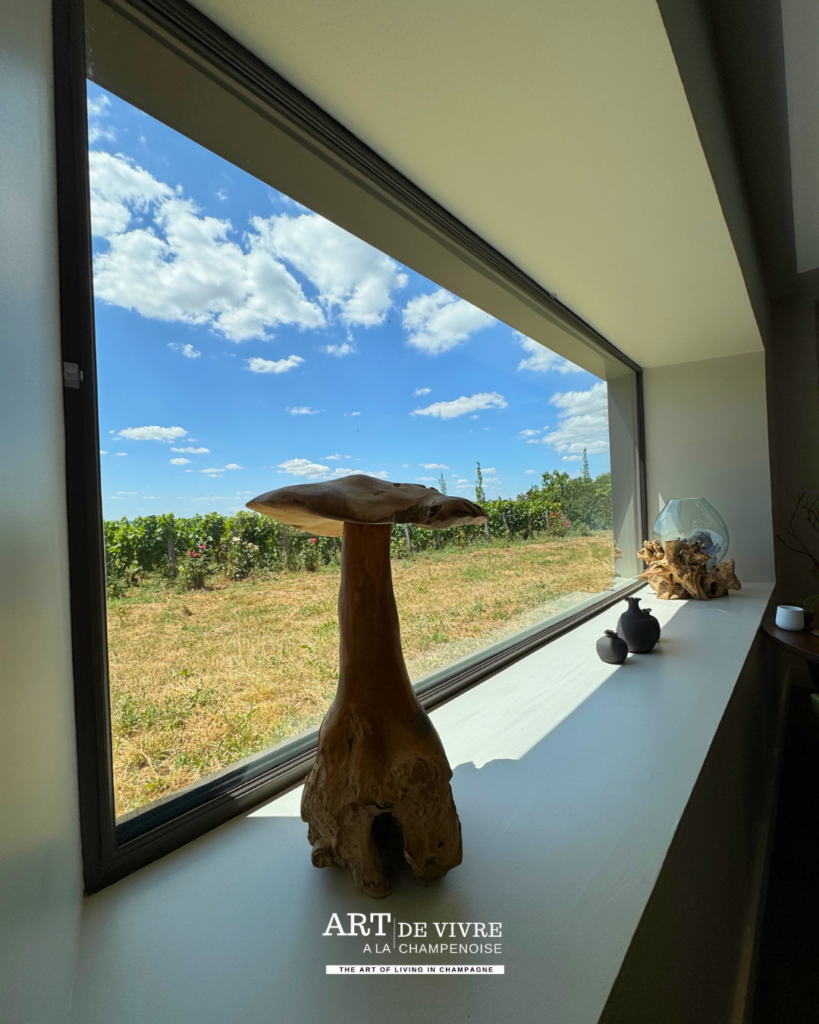 Vue sur les vignes depuis le restaurant Attis à Chenay 2