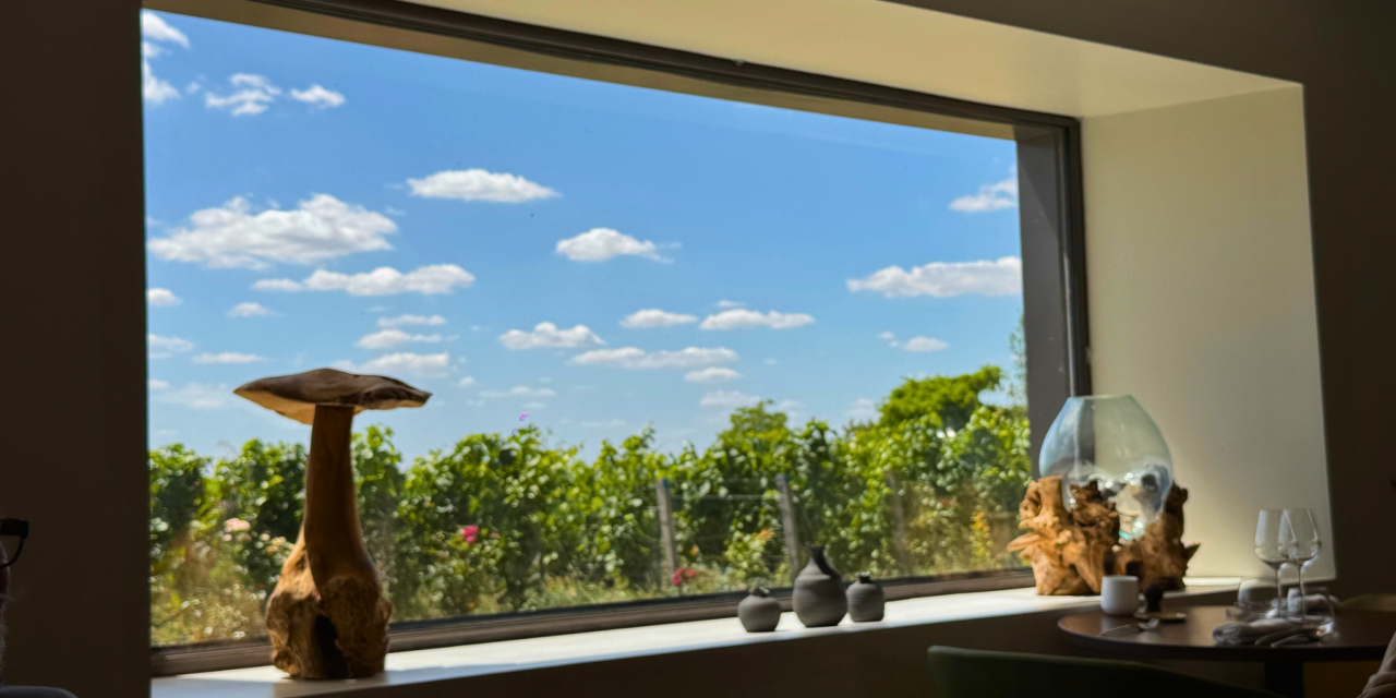 Attis à Chenay, la table de Benoît Mérot face aux vignes