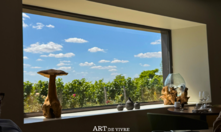 Attis à Chenay, la table de Benoît Mérot face aux vignes
