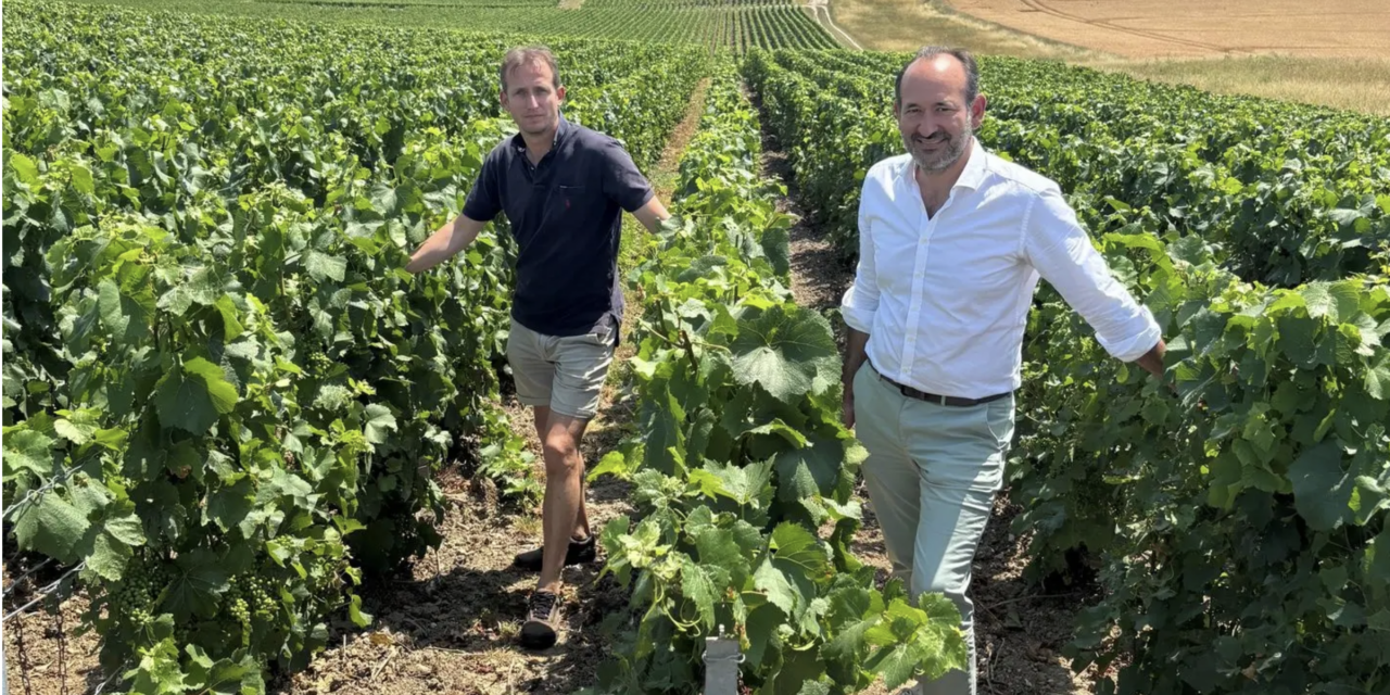 RAISIUM, la prestation viticole change d’échelle en Champagne