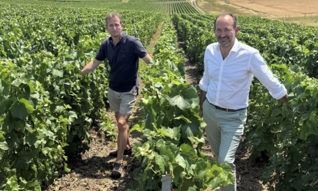 RAISIUM, la prestation viticole change d’échelle en Champagne
