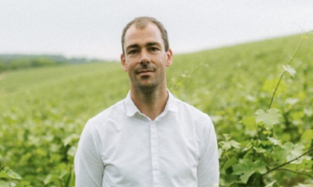 Cédric Roblet nommé Directeur Général de Champagne AYALA