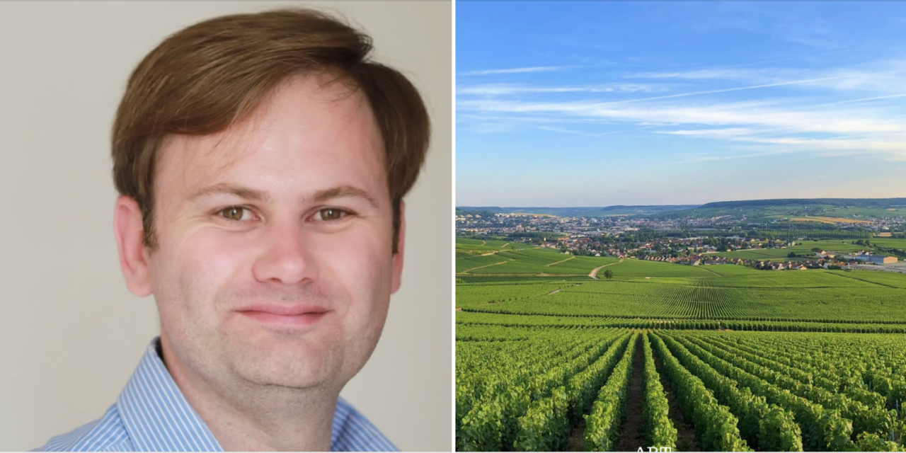 Fertilisation : investir dans le potentiel du vignoble