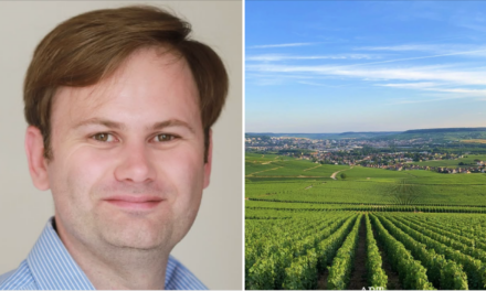 Fertilisation : investir dans le potentiel du vignoble