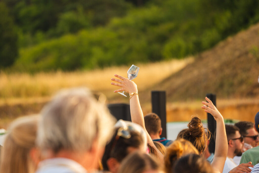 public nombreux à la Route du Champagne en Fête 2026