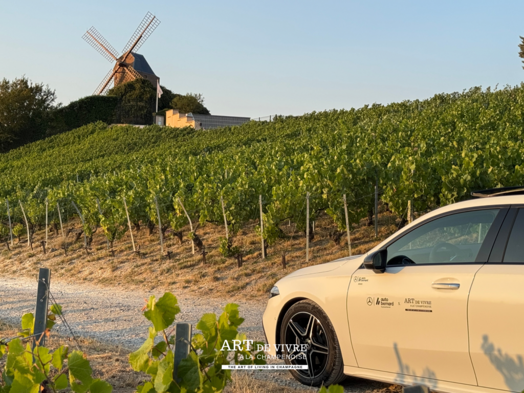 Véhicule Mercedes Classe A Art de Vivre à la Champenoise et Autobernard dans le vignoble