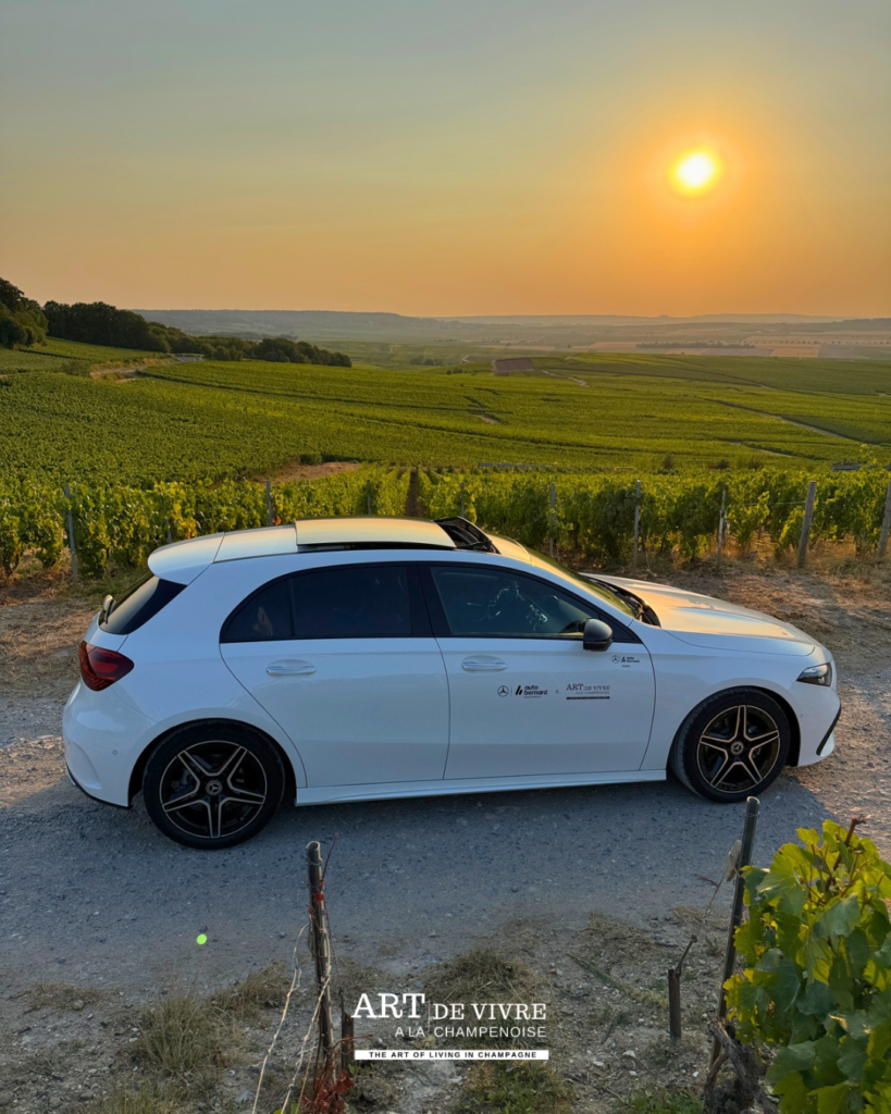 Véhicule Mercedes Art de Vivre à la Champenoise et Autobernard dans le vignoble sunset