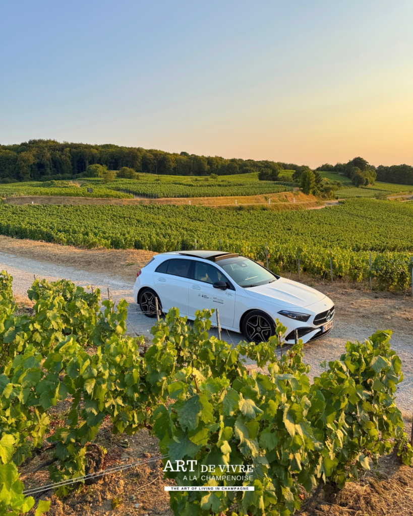 Mercedes partenaire d’Art de Vivre à la Champenoise au coucher du soleil 2