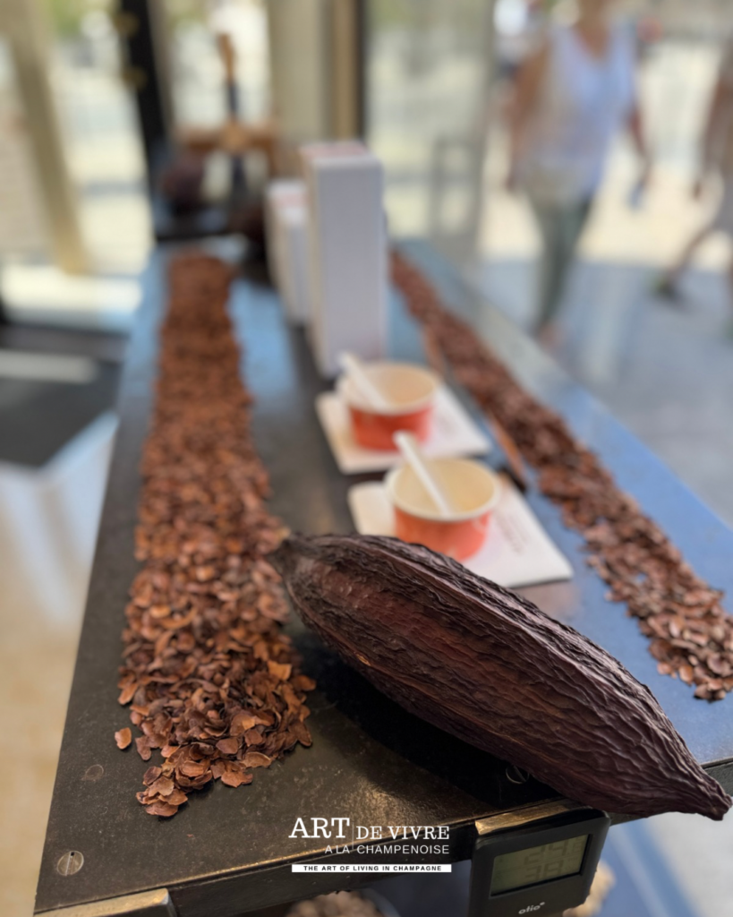 Pots de glace artisanale Alain Ducasse au Comptoir de Reims