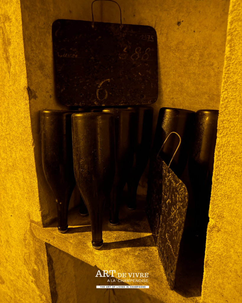 Bouteilles anciennes de Champagne Abelé dans l’œnothèque