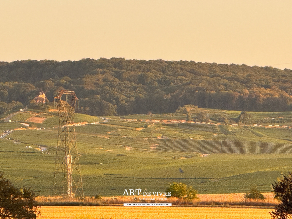 Foule réunie au pied du moulin de Verzenay pour observer l’éclipse solaire