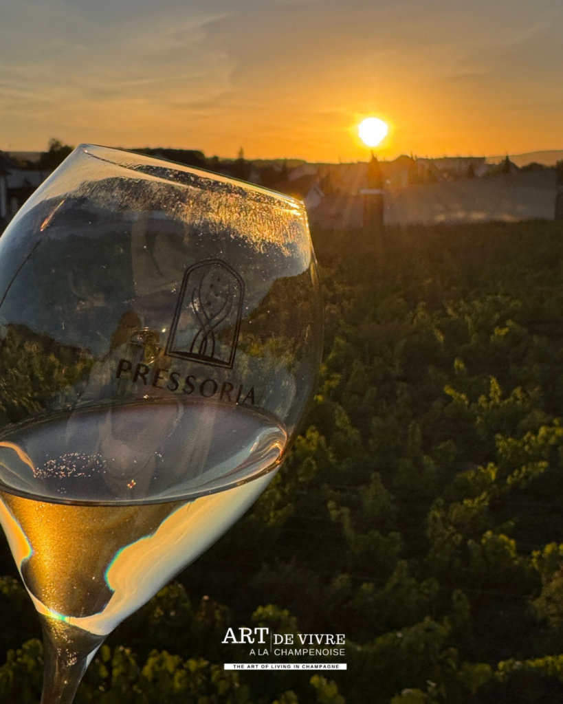 Derniers rayons de soleil sur les coteaux champenois