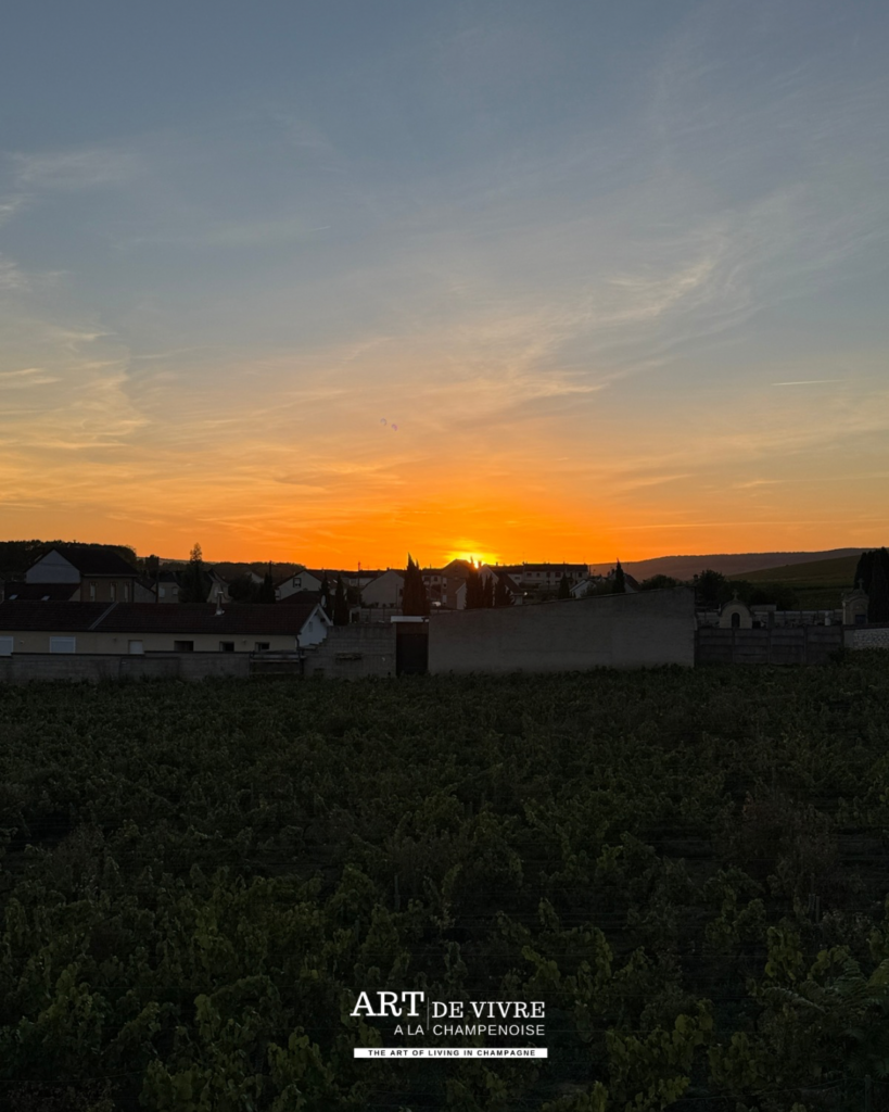 Invités face au coucher de soleil à Pressoria