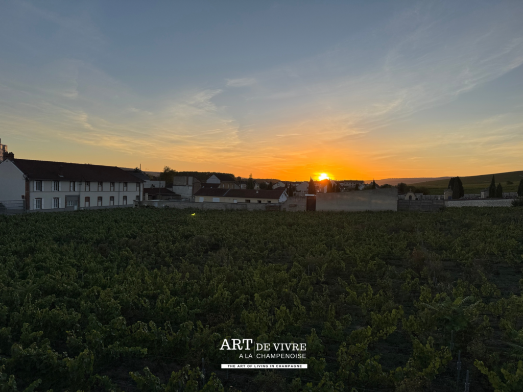 Sunset avec Vue sur les coteaux depuis Pressoria à Aÿ-Champagne