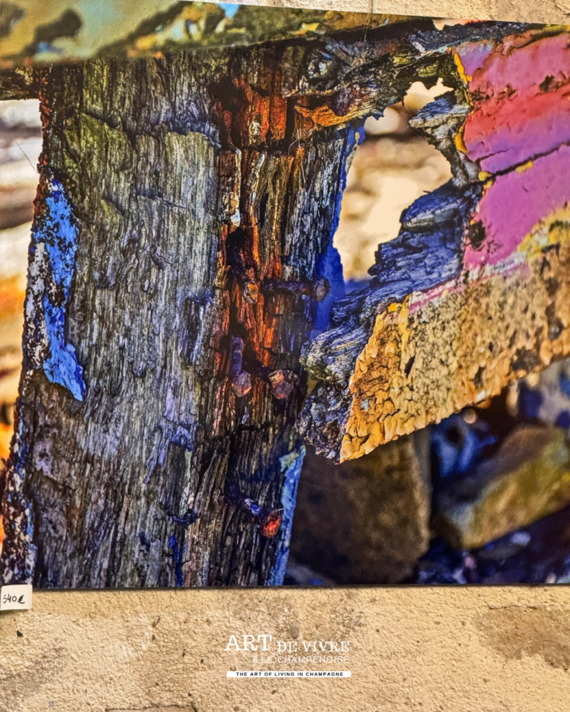 Photographies d’Olivier Cuinet accrochées aux murs du Trésor