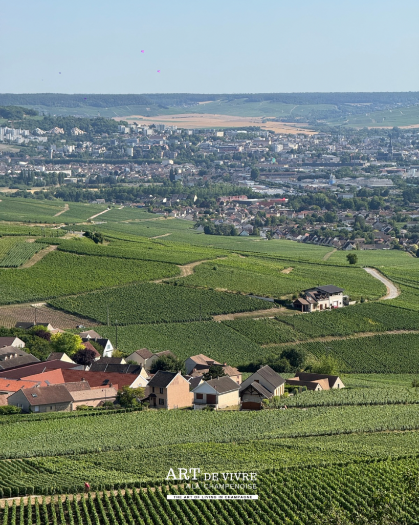 Vue sur Epernay et Champillon depuis le Royal Champagne Hotel & Spa