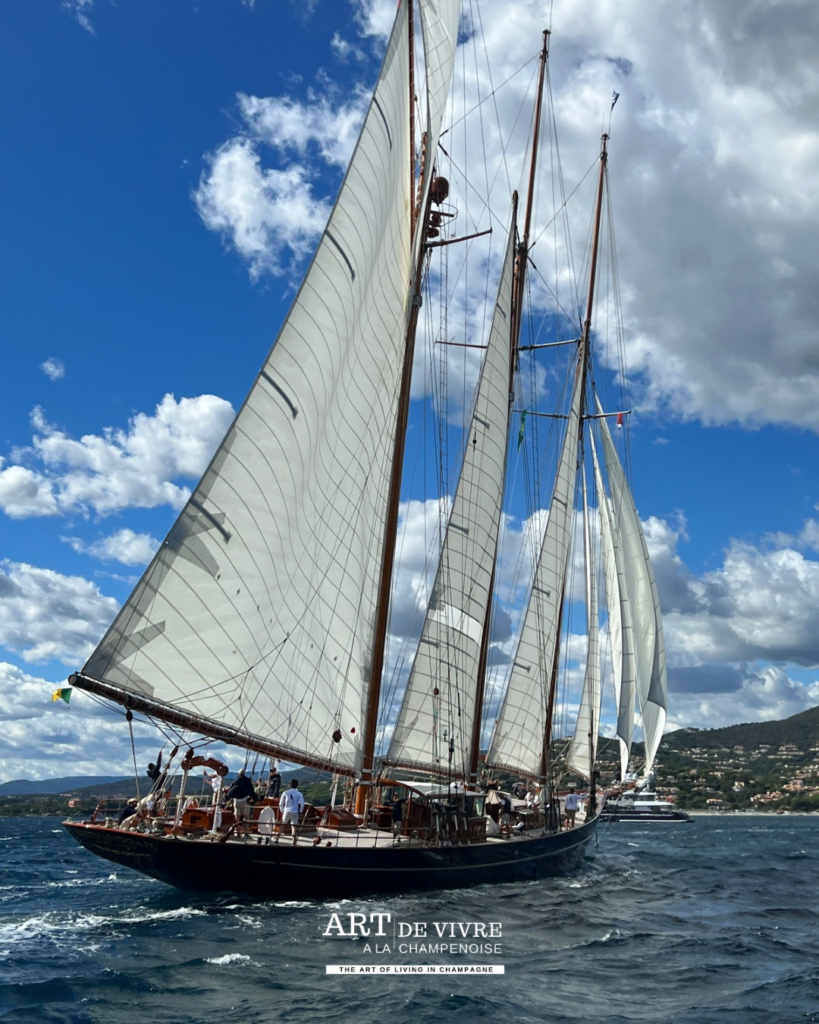 Grands voiliers réunis dans le golfe de Saint-Tropez