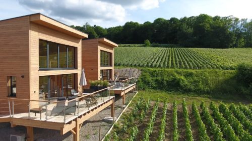 Les cottages Antoinette à Chigny-les-roses au bord des vignes