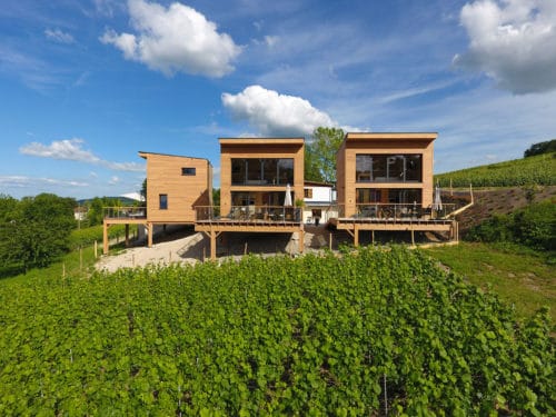 Implantés au milieu du vignoble Les cottages Antoinette à Chigny-les-roses