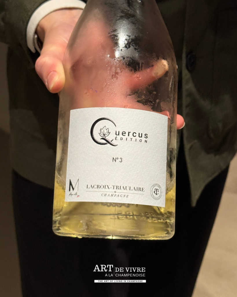 Saint-Jacques accompagnée du pinot blanc de Lacroix-Triaulaire